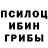 Галлюциногенные грибы Cubensis John Renaud