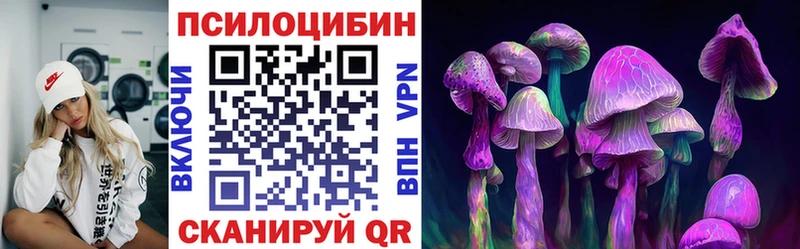 ОМГ ОМГ ссылки  Елизово  Псилоцибиновые грибы ЛСД  наркота 